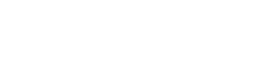 Microsoft Power Automate partner