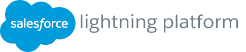 Salesforce Lightning Platform Professional Services