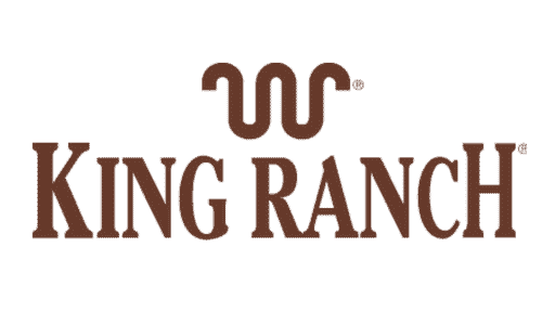 intelligent automation consulting services