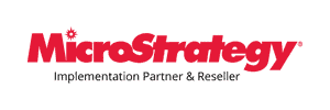 MicroStrategy partner