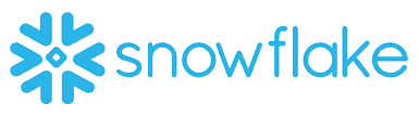 Snowflake professional services