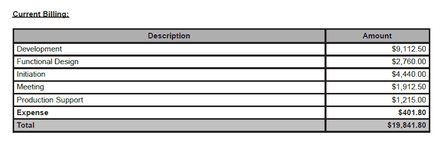 Advanced Development NetSuite