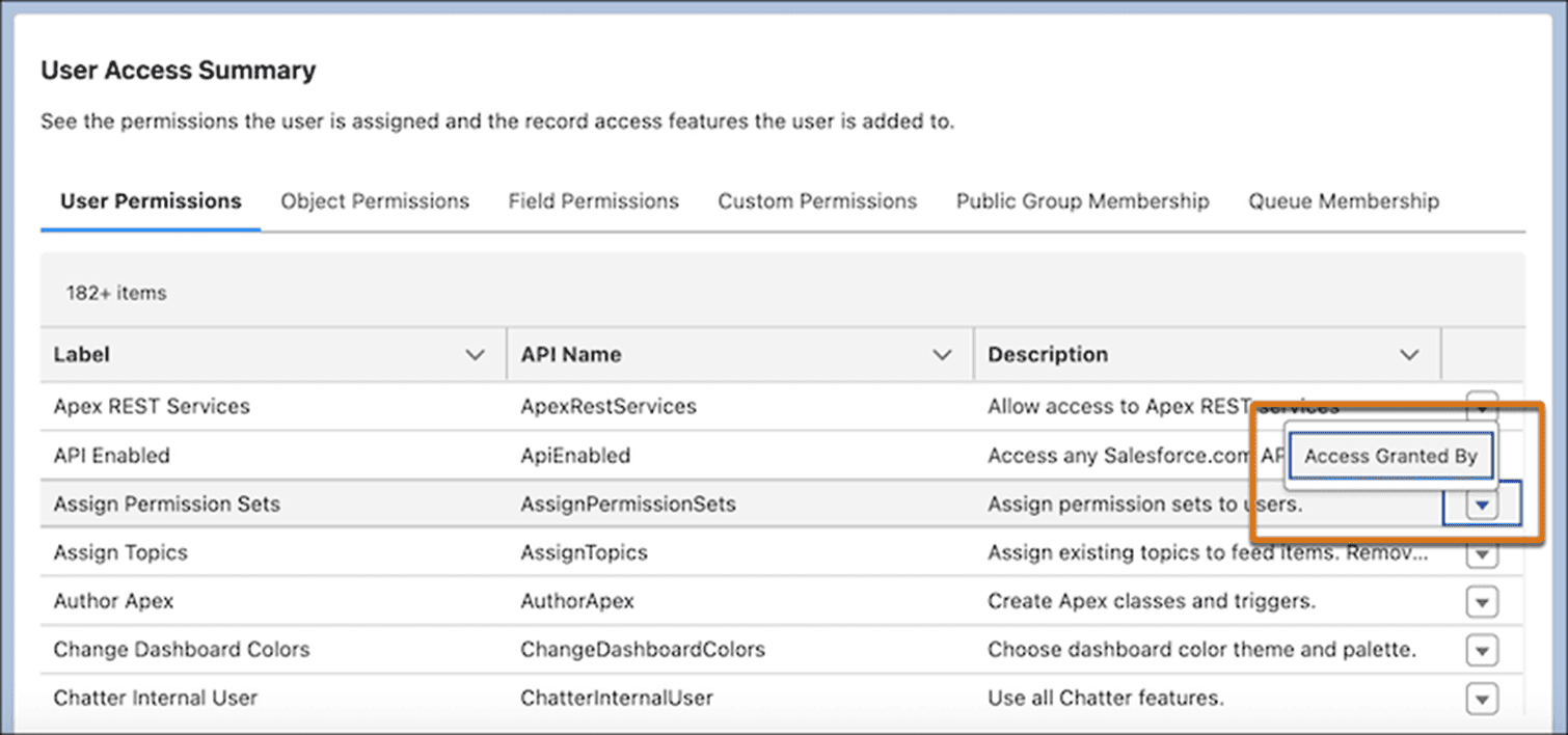 Salesforce Winter '25 Release - User Access Summary