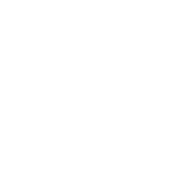 smart-light
